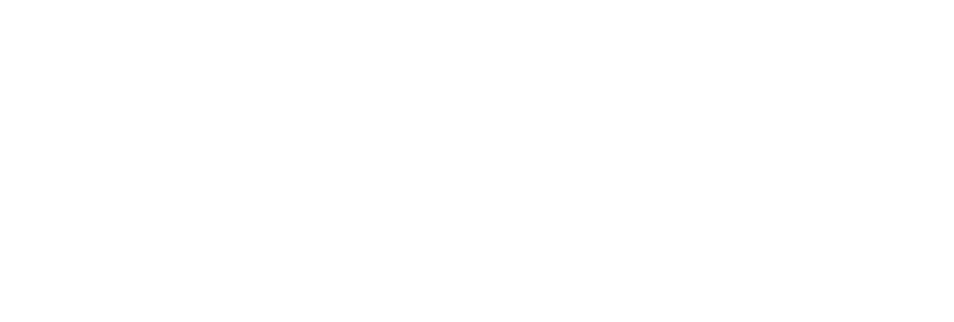 logo - white